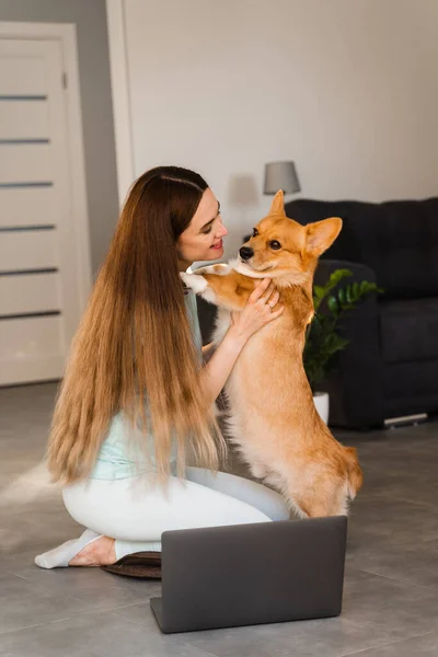 Девушка Ноутбуком Обнимает Целует Валлийскую Собаку Корги Пемброка Дома Молодая — стоковое фото