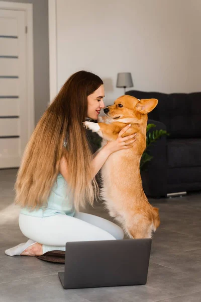 Girl Laptop Hug Kiss Welsh Corgi Pembroke Dog Home Young — Fotografia de Stock