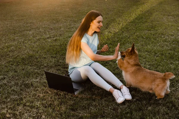 Lifestyle Girl Corgi Dog Girl Laptop Petting Her Welsh Corgi — Zdjęcie stockowe