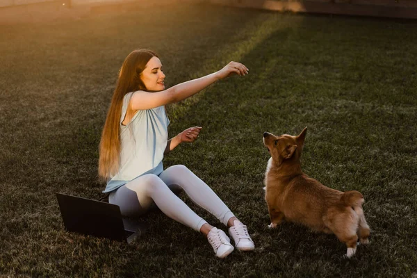 Lifestyle Girl Corgi Dog Girl Laptop Petting Her Welsh Corgi — Fotografia de Stock