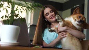 4k video girl chatting with friends online using laptop and showing her Corgi dog at home and having fun together. Lifestyle with domestic Welsh Corgi Pembroke. Video connection with family