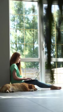 4k vertical video lifestryle of girl freelancer and domestic Corgi dog at home. Working at home with laptop. Girl hug and play with lovely Welsh Corgi Pembroke in break at online work