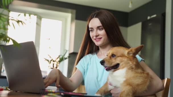 Відео Дівчина Працює Інтернеті Ноутбуці Коргі Собакою Вдома Вельш Коргі — стокове відео