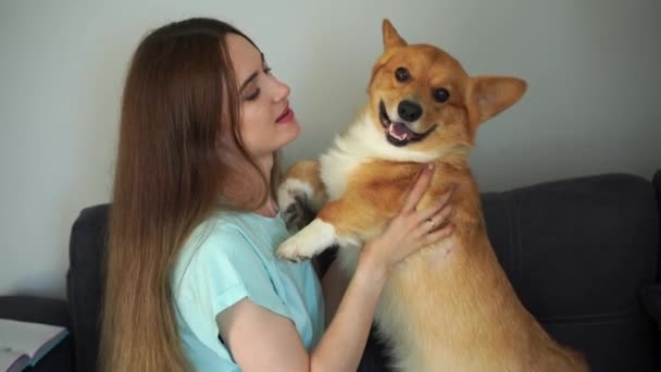 Video Happy Girl Hug Corgi Dog Home Lifestyle Domestic Pet — Wideo stockowe