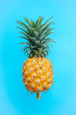 Mavi arkaplanda ananas