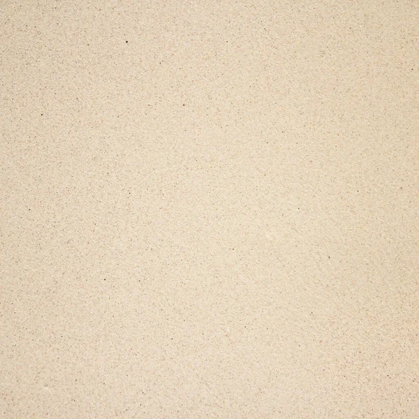 sand texture background. paper, wall, top view.