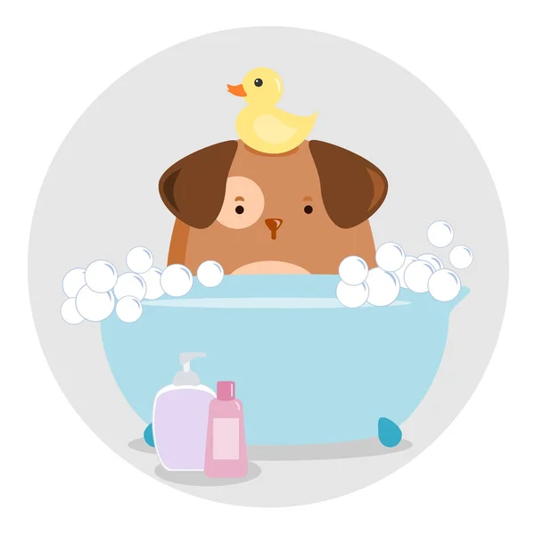 Hund beim Baden — Stockvektor