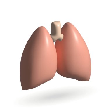 lungs isolated vector 3d icon. lungs 3d illustration.