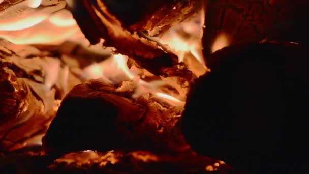 O fogão é aquecido com lenha — Vídeo de Stock