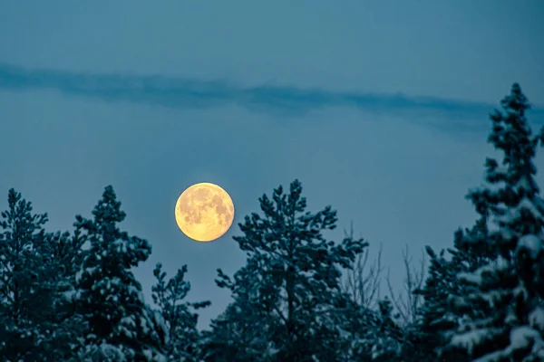 Full moon on the background of a winter landscape — Stockfoto