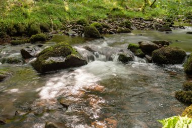 Somerset 'teki Horner Ormanı' ndan akan Horner Nehri 'nin uzun pozu