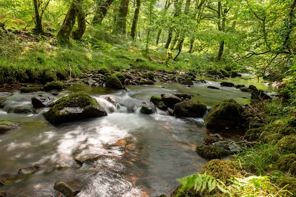 Dlouhá Expozice Horner Water River Tekoucí Lesy Horner Somersetu — Stock fotografie