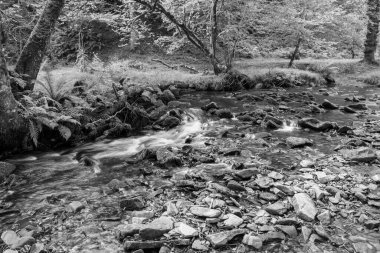 Somerset 'teki Horner Ormanı' ndan akan Horner Nehri 'nin uzun pozu