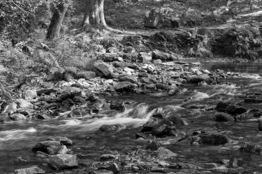 Somerset 'teki Horner Ormanı' ndan akan Horner Nehri 'nin uzun pozu