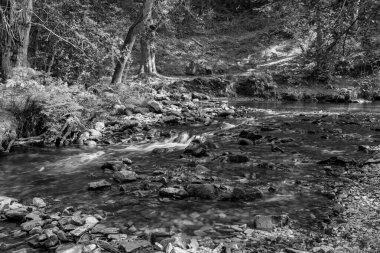 Somerset 'teki Horner Ormanı' ndan akan Horner Nehri 'nin uzun pozu