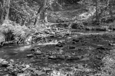 Somerset 'teki Horner Ormanı' ndan akan Horner Nehri 'nin uzun pozu