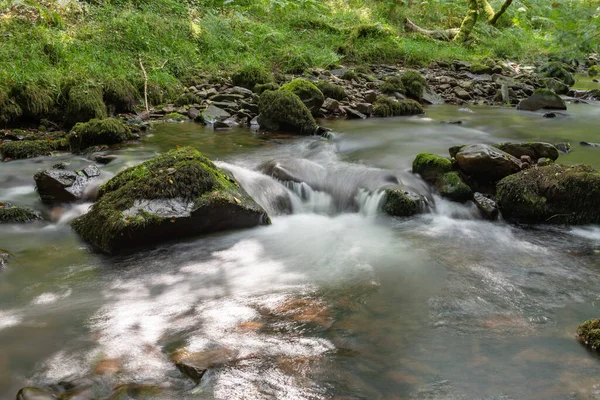 Dlouhá Expozice Horner Water River Tekoucí Lesy Horner Somersetu — Stock fotografie