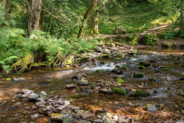 Lång Exponering Horner Water Floden Rinner Genom Horner Skogen Somerset — Stockfoto