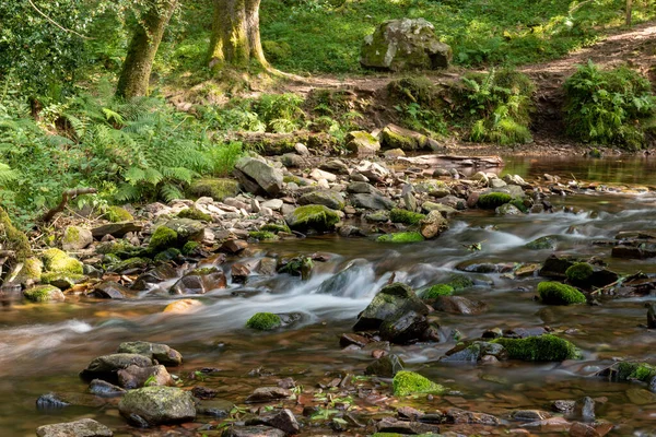 Długa Ekspozycja Rzeki Horner Water Przepływającej Przez Lasy Horner Somerset — Zdjęcie stockowe