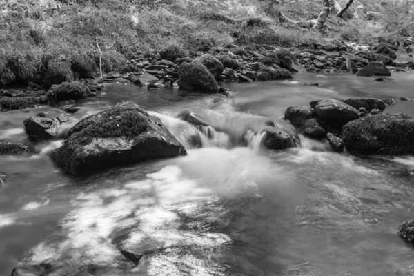 Long Exposure Horner Water River Flowing Horner Woods Somerset — Stock Photo, Image