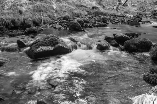 Lunga Esposizione Del Fiume Horner Water Che Scorre Attraverso Boschi — Foto Stock