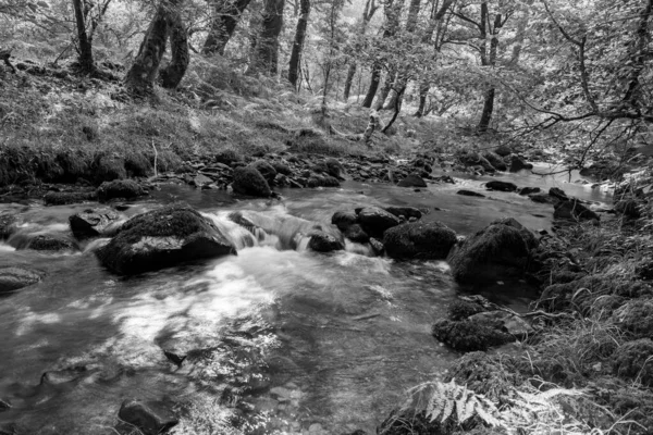 Długa Ekspozycja Rzeki Horner Water Przepływającej Przez Lasy Horner Somerset — Zdjęcie stockowe