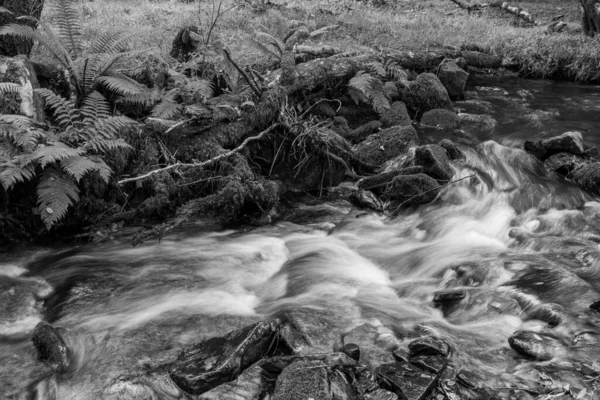 Dlouhá Expozice Horner Water River Tekoucí Lesy Horner Somersetu — Stock fotografie