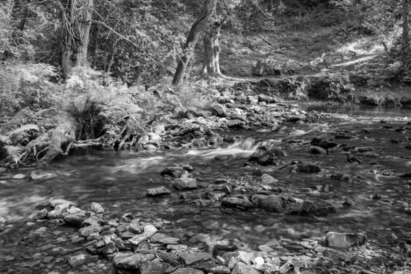 Longa Exposição Rio Horner Water Que Flui Através Bosques Horner — Fotografia de Stock