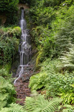 Taunton. Somerset. Birleşik Krallık. 8 Ağustos 2021. Hestercombe 'daki büyük şelale ve bahçeler.