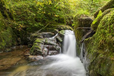 Hoar Oak Nehri 'nin üzerinde Exmoor Ulusal Parkı' ndaki Watersmeet 'te akan şelalenin uzun pozu.