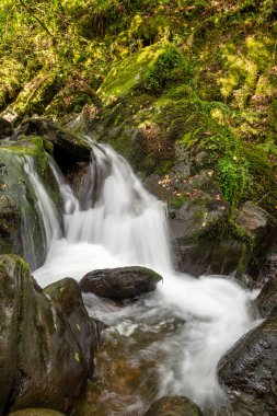 Hoar Oak Nehri 'nin üzerinde Exmoor Ulusal Parkı' ndaki Watersmeet 'te akan şelalenin uzun pozu.