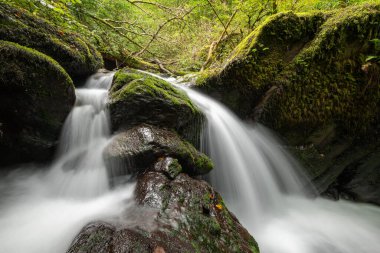 Hoar Oak Nehri 'nin üzerinde Exmoor Ulusal Parkı' ndaki Watersmeet 'te akan şelalenin uzun pozu.