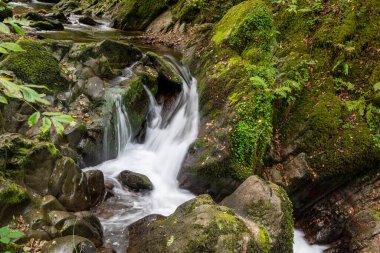 Hoar Oak Nehri 'nin üzerinde Exmoor Ulusal Parkı' ndaki Watersmeet 'te akan şelalenin uzun pozu.