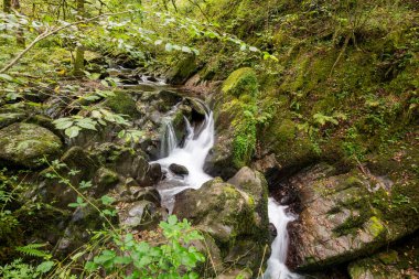Hoar Oak Nehri 'nin üzerinde Exmoor Ulusal Parkı' ndaki Watersmeet 'te akan şelalenin uzun pozu.