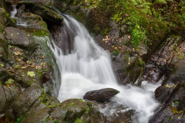 Hoar Oak Nehri 'nin üzerinde Exmoor Ulusal Parkı' ndaki Watersmeet 'te akan şelalenin uzun pozu.