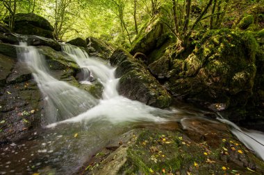Hoar Oak Nehri 'nin üzerinde Exmoor Ulusal Parkı' ndaki Watersmeet 'te akan şelalenin uzun pozu.