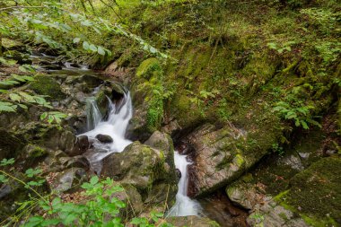 Hoar Oak Nehri 'nin üzerinde Exmoor Ulusal Parkı' ndaki Watersmeet 'te akan şelalenin uzun pozu.