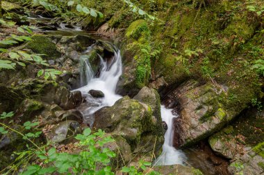 Hoar Oak Nehri 'nin üzerinde Exmoor Ulusal Parkı' ndaki Watersmeet 'te akan şelalenin uzun pozu.