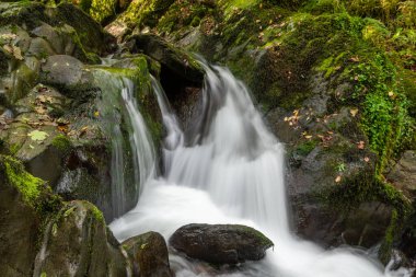 Hoar Oak Nehri 'nin üzerinde Exmoor Ulusal Parkı' ndaki Watersmeet 'te akan şelalenin uzun pozu.