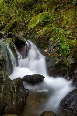 Hoar Oak Nehri 'nin üzerinde Exmoor Ulusal Parkı' ndaki Watersmeet 'te akan şelalenin uzun pozu.