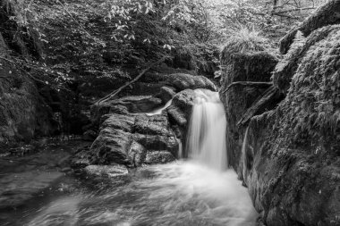 Hoar Oak Nehri 'nin üzerinde Exmoor Ulusal Parkı' ndaki Watersmeet 'te akan şelalenin uzun pozu.
