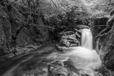 Hoar Oak Nehri 'nin üzerinde Exmoor Ulusal Parkı' ndaki Watersmeet 'te akan şelalenin uzun pozu.