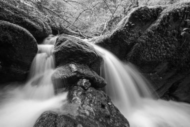 Hoar Oak Nehri 'nin üzerinde Exmoor Ulusal Parkı' ndaki Watersmeet 'te akan şelalenin uzun pozu.