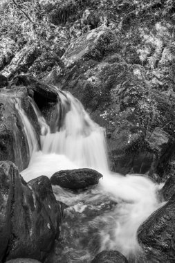 Hoar Oak Nehri 'nin üzerinde Exmoor Ulusal Parkı' ndaki Watersmeet 'te akan şelalenin uzun pozu.