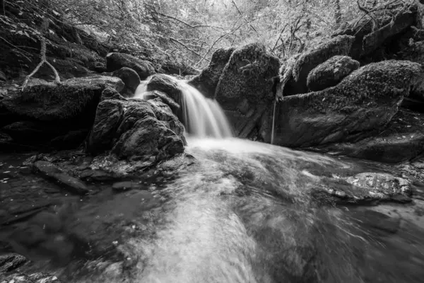 Exmoor国立公園のWatersmetで森を流れるHoar Oak Water川の滝の長い露出 — ストック写真