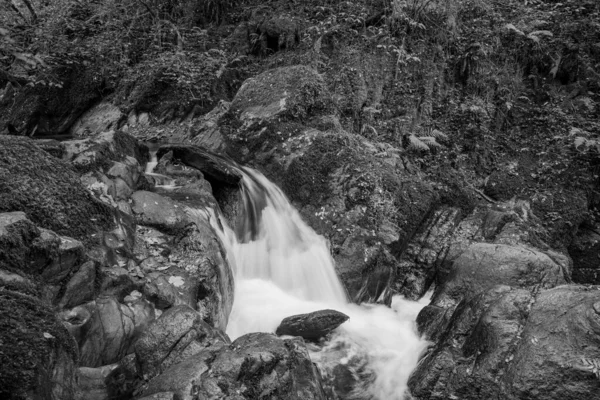 Hoar Oak Nehri Nin Üzerinde Exmoor Ulusal Parkı Ndaki Watersmeet — Stok fotoğraf