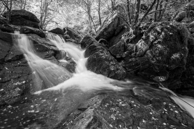 Hoar Oak Nehri 'nin üzerinde Exmoor Ulusal Parkı' ndaki Watersmeet 'te akan şelalenin uzun pozu.