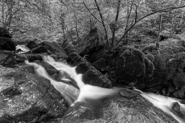 在Exmoor国家公园的Watersmeet 长时期暴露在Hoar Oak水河上流经树林的瀑布中 — 图库照片