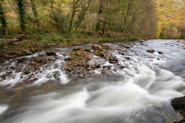 Sonbaharda Exmoor Ulusal Parkı 'ndaki Watersmeet' teki Doone Vadisi 'nden akan Doğu Lyn Nehri' nin uzun pozu