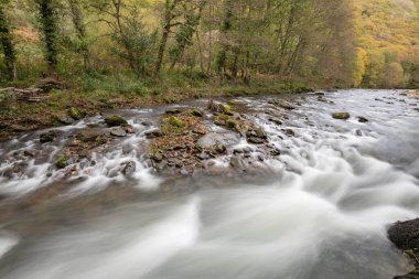 Sonbaharda Exmoor Ulusal Parkı 'ndaki Watersmeet' teki Doone Vadisi 'nden akan Doğu Lyn Nehri' nin uzun pozu